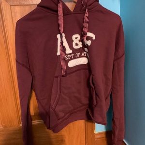 Abercrombie and Fitch Sweatshirt